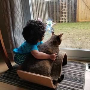 Meet your Posher, Lushani